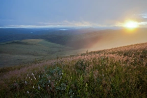 Sunrise at the Taylor Highway, near the Chicken settlement, Alaska, United States Sunrise at the Taylor Highway, near the Chicken settlement, Alaska, United States