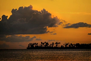 Sunset and an island with palm trees, Sulawesi, Indonesia Sunset and an island with palm trees, Sulawesi, Indonesia
