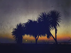 <b class=qtipBold><figcaption>Supermoon sunset</figcaption></b><br>Supermoon on a sept evening on worthing beach , sussex<br><em>© angelacollier2015</em> Supermoon sunset