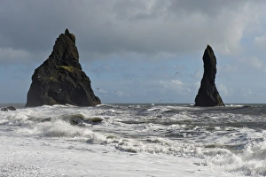 Surf and seagulls, lava beach of Reynisfjara, Reynisdrangar Pinnacles, near Vik i Myrdal Surf and seagulls, lava beach of Reynisfjara, Reynisdrangar Pinnacles, near Vik i Myrdal