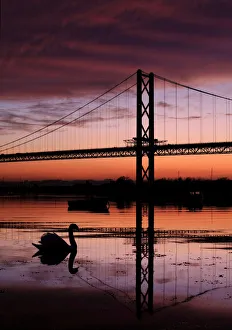 Swan and Forth Road Suspension Bridge at sunset Swan and Forth Road Suspension Bridge at sunset