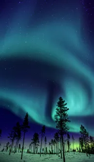 <b class=qtipBold><figcaption>Swirling Aurora</figcaption></b><br>The Aurora Borealis swirls above a Swedish Forest<br><em>© David N Moorhouse</em> Swirling Aurora