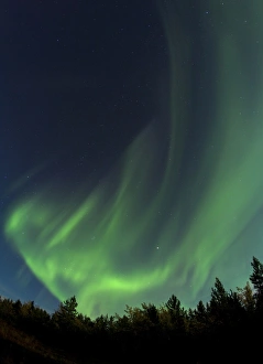 Swirling Northern lights, Polar Aurorae, Aurora Borealis, green, near Whitehorse Swirling Northern lights, Polar Aurorae, Aurora Borealis, green, near Whitehorse