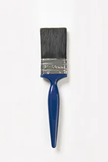 Collections/dorling kindersley prints/synthetic bristle brush Collections/dorling kindersley prints/synthetic bristle brush