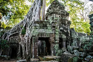 Ta Prohm Temple Angkor Wat Siem Reap Cambodia Ta Prohm Temple Angkor Wat Siem Reap Cambodia