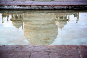 <b class=qtipBold><figcaption>Taj Mahal Reflection</figcaption></b><br>The Taj Mahal is reflected in blue water.<br><em>© © Brian Farrell</em> Taj Mahal Reflection