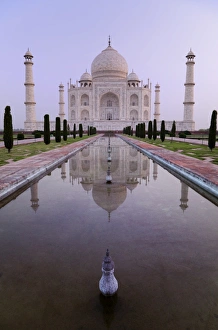 <b class=qtipBold><figcaption>the Taj Mahal and reflection</figcaption></b><br>the Taj Mahal perfectly reflected in the pool in the Charhagh garden, early morning with no tourists<br><em>© Martin Child</em> the Taj Mahal and reflection