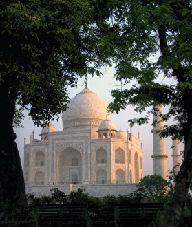 <b class=qtipBold><figcaption>Taj Mahal behind trees at sunrise</figcaption></b><br>Hidden Taj Mahal behind trees at clear sunrise. Taj Mahal behind trees at sunrise
