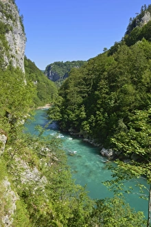 Tara river and canyon, Durmitor National Park, Unesco World Heritage Site, Crna Gora, Montenegro Tara river and canyon, Durmitor National Park, Unesco World Heritage Site, Crna Gora, Montenegro
