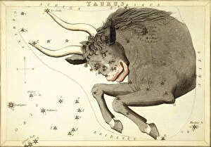 Images Dated 21st July 2013: Taurus, Second Astrological Sign of the Zodiac