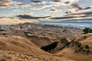 Atmosphere Gallery: Te Mata Peak, parched landscape, evening mood, near Hastings, Hawkes Bay, North Island, New Zealand