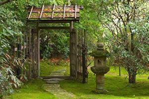 Images Dated 25th April 2006: Tea House Path and Garden, Kyoto, Honshu, Japan