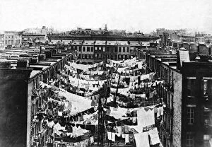 Drying Collection: Tenements In New York City