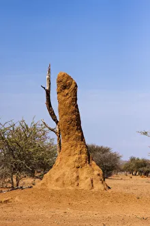 Termite mound, Kaokoland, Kaokoveld, Namibia Termite mound, Kaokoland, Kaokoveld, Namibia