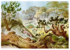 <b class=qtipBold><figcaption>Termites hill Chromolithograph 1884</figcaption></b><br>Brehms Thierleben (Tierleben). Allgemeine Kunde des Thierreichs. Vierte Abtheilung - Wirbellofe Thiere. Leipzig Verlag, 1884.<br><em>© This content is subject to copyright.</em> Termites hill Chromolithograph 1884