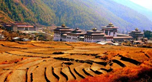 Terraced Fields and Government Buildings - Thimphu Terraced Fields and Government Buildings - Thimphu