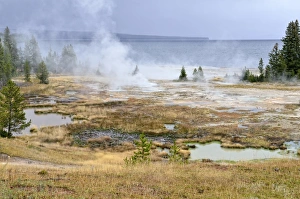 Thermal area, West Thumb Geysir Basin, Yellowstone National Park, Wyoming, USA Thermal area, West Thumb Geysir Basin, Yellowstone National Park, Wyoming, USA