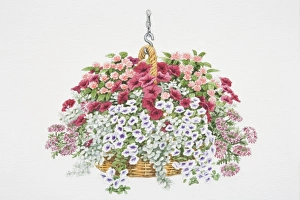 Tiny red flowers of Verbena Carousel, purple-white flowers of Petunia Surfinia Blue Vein Tiny red flowers of Verbena Carousel, purple-white flowers of Petunia Surfinia Blue Vein