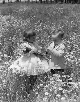 Images Dated 18th October 2005: Toddlers In Field Of Daisies. They Wear Fancy Clothes Dress And Suit