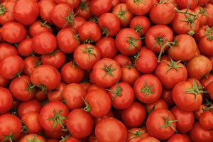 Tomatoes on a market stall, weekly farmers market, Mugla, Mugla Province, Aegean region Tomatoes on a market stall, weekly farmers market, Mugla, Mugla Province, Aegean region