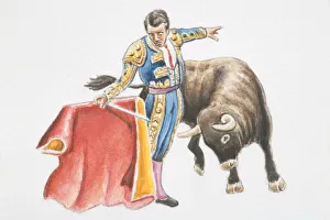 Torero in embroidered blue costume holding red cape (muleta), bull advancing immediately to right Torero in embroidered blue costume holding red cape (muleta), bull advancing immediately to right