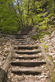 Trail to the Hickelhoehle cave in the Treppengrund, Saxon Switzerland Trail to the Hickelhoehle cave in the Treppengrund, Saxon Switzerland