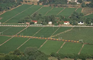 Train Traveling Through Vineyard Landscape - Aerial View Train Traveling Through Vineyard Landscape - Aerial View
