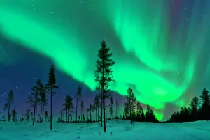 Prints of The Aurora Borealis captured in a clearing in a Swedish coniferous forest Sweden Prints: Aurora Borealis Print: Northern Lights in Swedish Forest