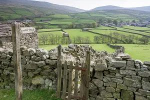 Prints of Long distance footpath makes its way through Swaledale, Yorkshire Yorkshire Prints: Pennine Way Print: Swaledale Landscape