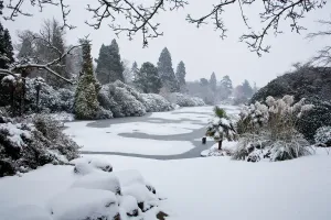 Prints of Travel Imagery, 160248477 Travel Imagery Prints: Sheffield Park Gardens in Snow Print