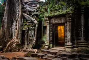 Ta Prohm Temple Print with Fig Tree Roots