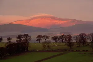 Prints of Early morning sun on The Cheviots in Northumberland England UK Travel Photographer Collection Prints: Early Morning Sun on The Cheviots Print