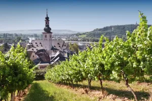 Village Prints: Rudesheim am Rhein Vineyard Landscape Print