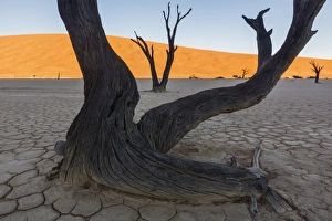 travel, tourist destination, natural phenomenon, sunrise, desert travel, tourist destination, natural phenomenon, sunrise, desert