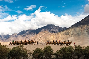 Traveling on Camels Traveling on Camels