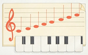 Treble clef and musical notes of a full octave on a stave, and the corresponding keys on an organ Treble clef and musical notes of a full octave on a stave, and the corresponding keys on an organ