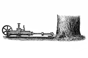 Tree cutting steam machine