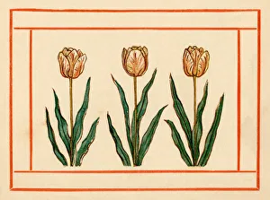 <b class=qtipBold><figcaption>Tulips - Kate Greenaway, 1884</figcaption></b><br>'An illustration of three tulips inside a red border from the Kate Greenaway Almanack for 1884, an illustration for the month of January. The Almanack for 1884 by Kate Greenaway was published by George Routledge & Sons of London and New York.'<br><em>© Linda Steward</em> Tulips - Kate Greenaway, 1884