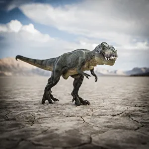Tyrannosaurus rex dinosaur in desert field Tyrannosaurus rex dinosaur in desert field