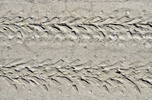 Tyre tracks, Bonneville Speedway, Great Salt Lake Desert, Wendover, Utah, USA Tyre tracks, Bonneville Speedway, Great Salt Lake Desert, Wendover, Utah, USA