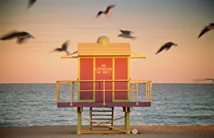 USA, Florida, Miami, South Beach, gulls flying over lifeguard hut USA, Florida, Miami, South Beach, gulls flying over lifeguard hut