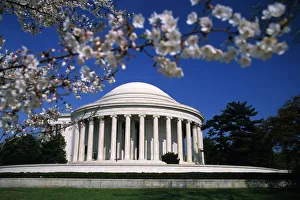 USA, Washington DC, The Mall, Jefferson Memorial, cherry tree USA, Washington DC, The Mall, Jefferson Memorial, cherry tree