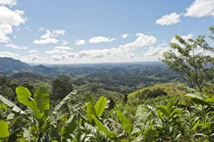 Vast mountainous landscape with banana trees at front, near Manakara, Madagascar Vast mountainous landscape with banana trees at front, near Manakara, Madagascar