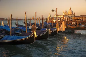 <b class=qtipBold><figcaption>Venice Gondolas</figcaption></b><br>A row of gondolas float along San Marco Square in Venice, Italy.<br><em>© 2016 Chase Dekker Wild-Life Images</em> Venice Gondolas