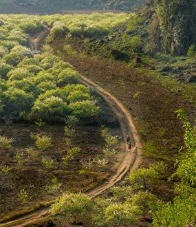 Vertical image of Moc Chau Plateau - Vietnam - Travel Destination Vertical image of Moc Chau Plateau - Vietnam - Travel Destination