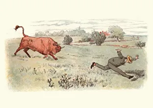 Victorian man being chased through field by an angy bull Victorian man being chased through field by an angy bull