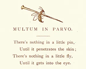 Victorian satirical cartoon, Multum in parvo, Much in little Victorian satirical cartoon, Multum in parvo, Much in little