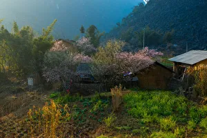 Vietnam - Ha Giang village landscape in springtime Vietnam - Ha Giang village landscape in springtime