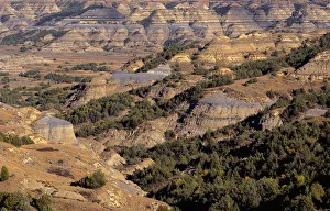 View from Bentonitic Clay Overlook on forest and eroded formations with gray colored View from Bentonitic Clay Overlook on forest and eroded formations with gray colored