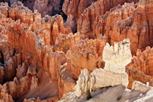 View from Bryce Point showing layers of sandstone hoodoos, Bryce Canyon National Park View from Bryce Point showing layers of sandstone hoodoos, Bryce Canyon National Park